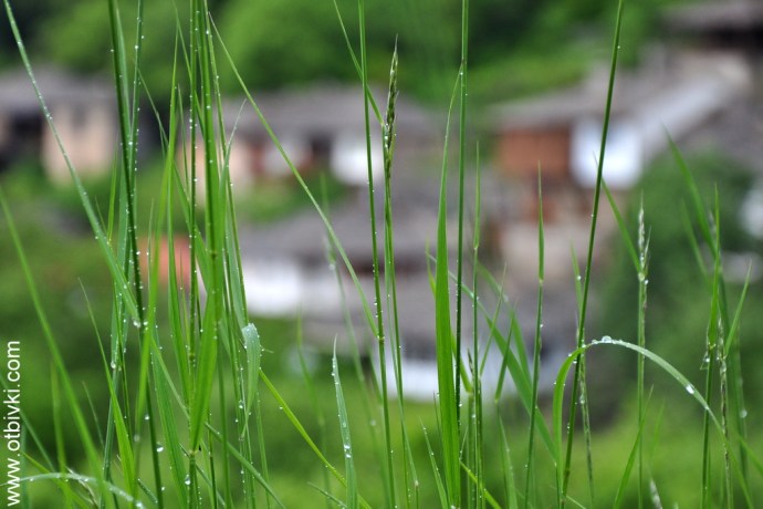 Реалността е въпрос на гледна точка...