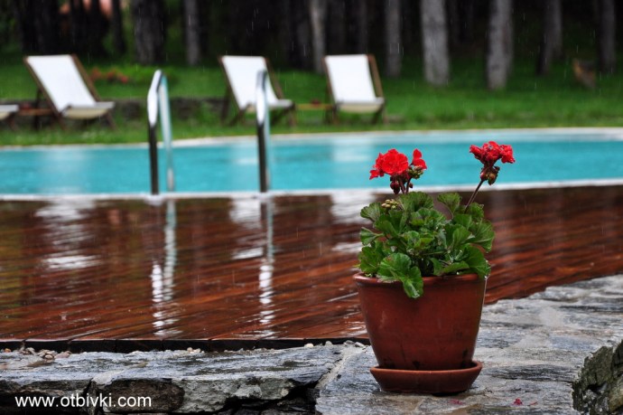 Красотата е в детайлите