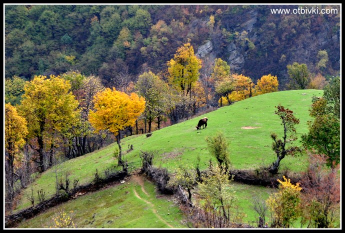 Родопска идилия