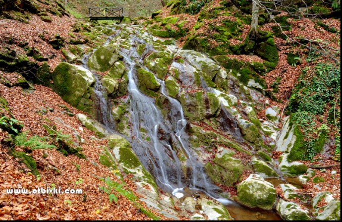 Пътят на водата