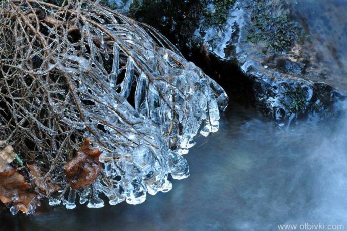 Ледени клони