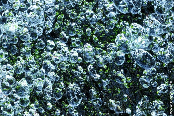 Ледена дантела