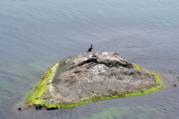 Късче земя сред морето