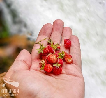 amazing_waterfall19-X2
