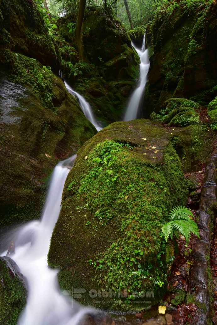 Лешнишки водопад1