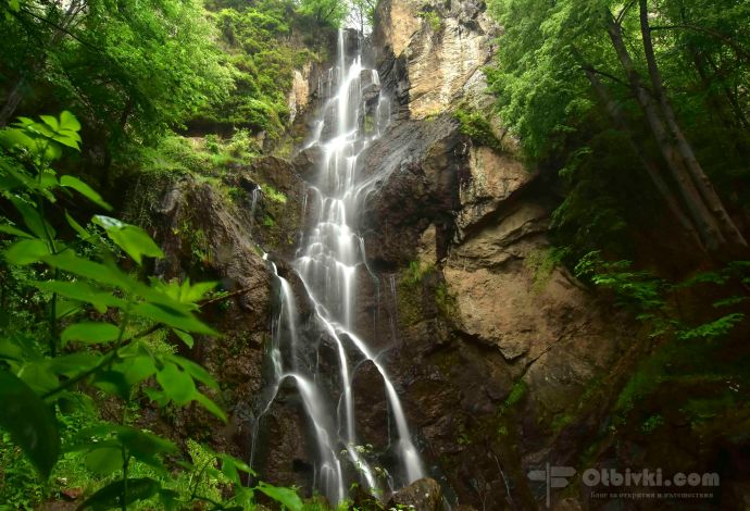 Самодивскопръскало2