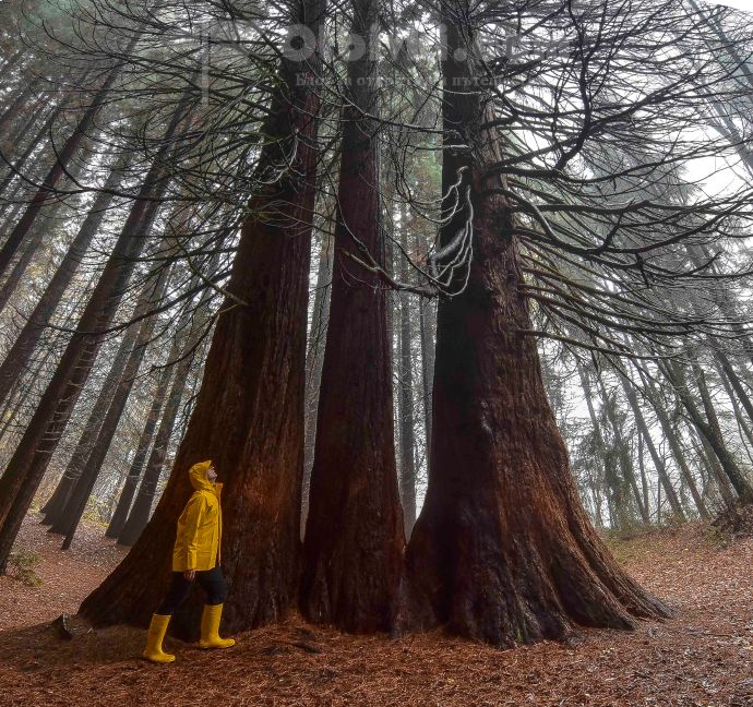 inst Untitled_Panorama1