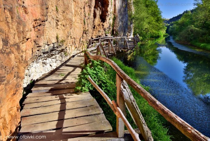 11792016_888400977904379_8196641518383629704_o