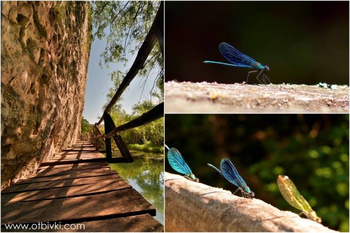 11834870_892206640857146_1091220391731896057_o